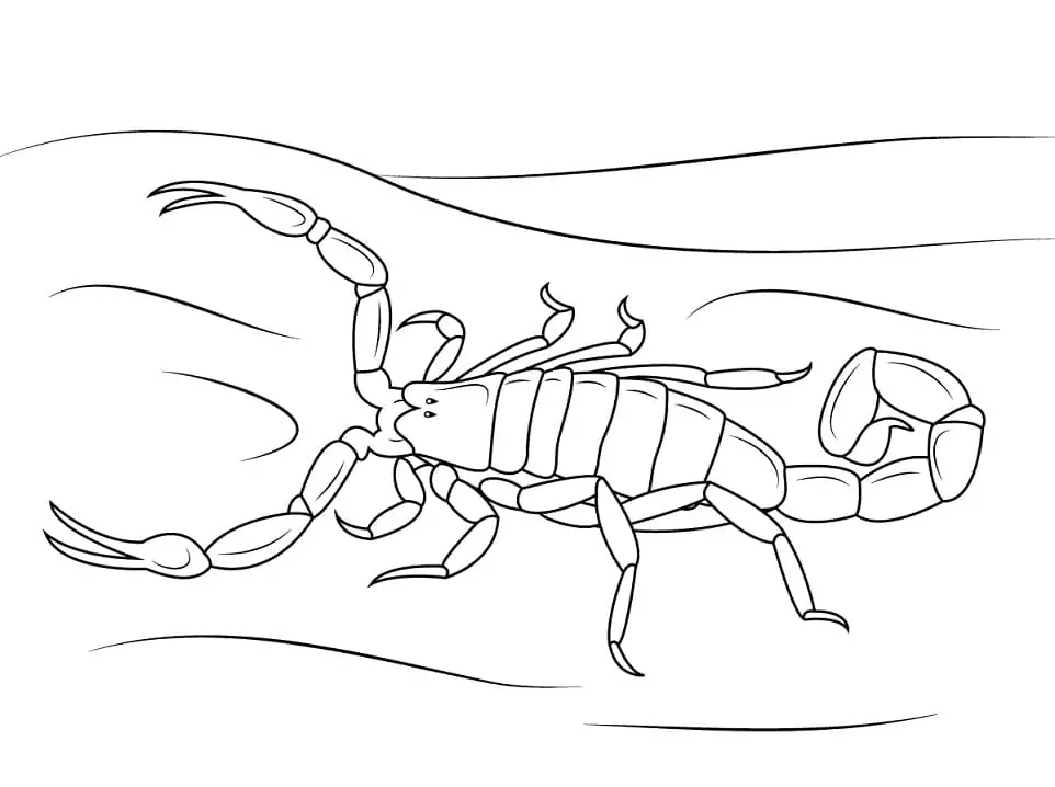 Zeichne Skorpion kostenlos
