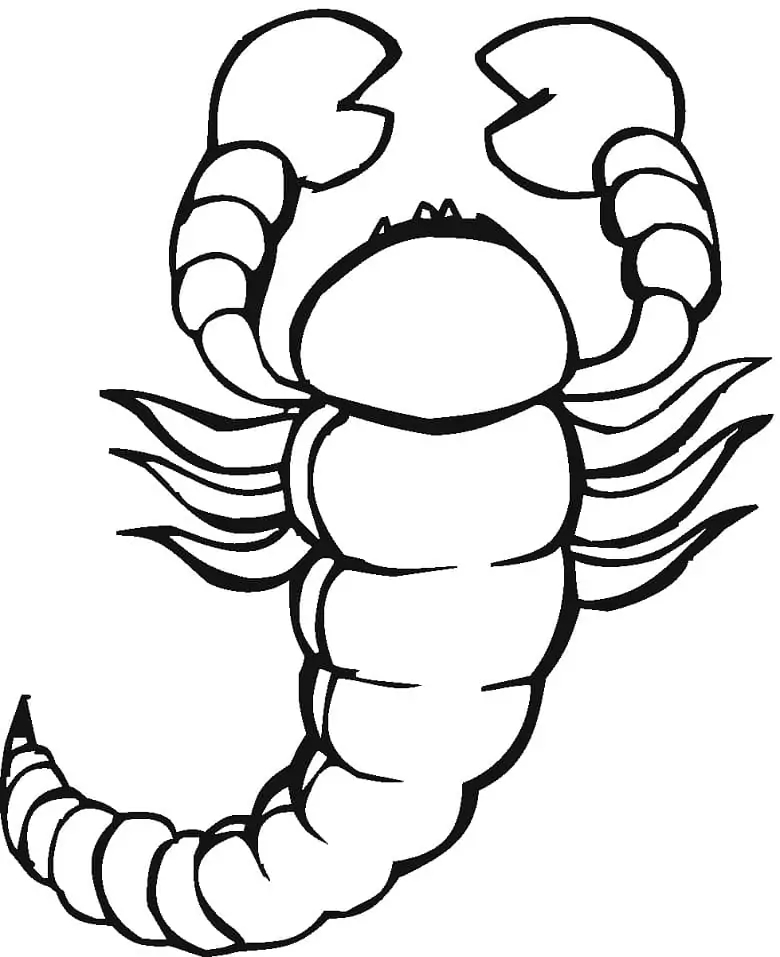 Zeichne Skorpion schlicht bei Kindern