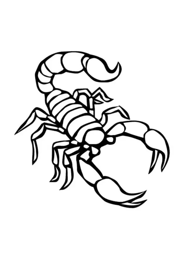 Zeichne Skorpion schlicht