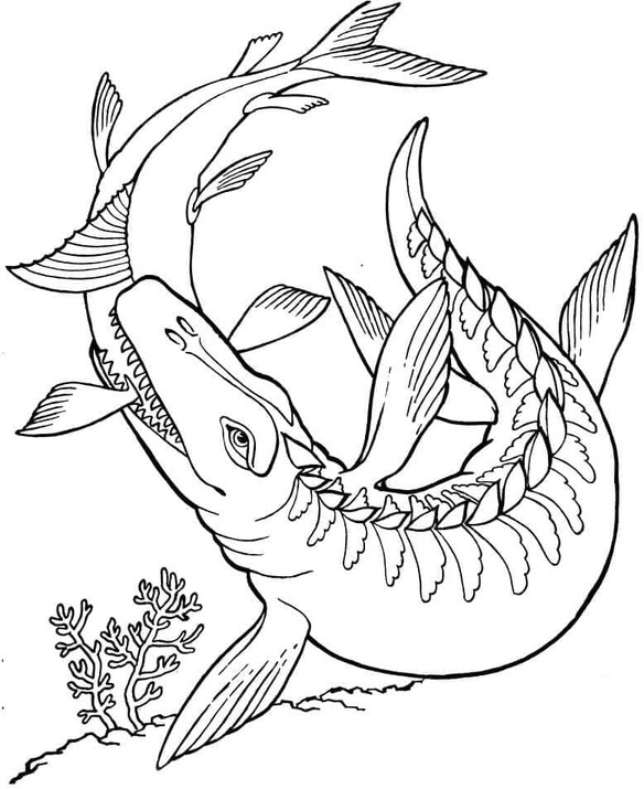 Zeichnen Mosasaurus einfach bei Kindern