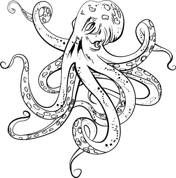 Zeichnen Oktopus kostenlos für Kinder