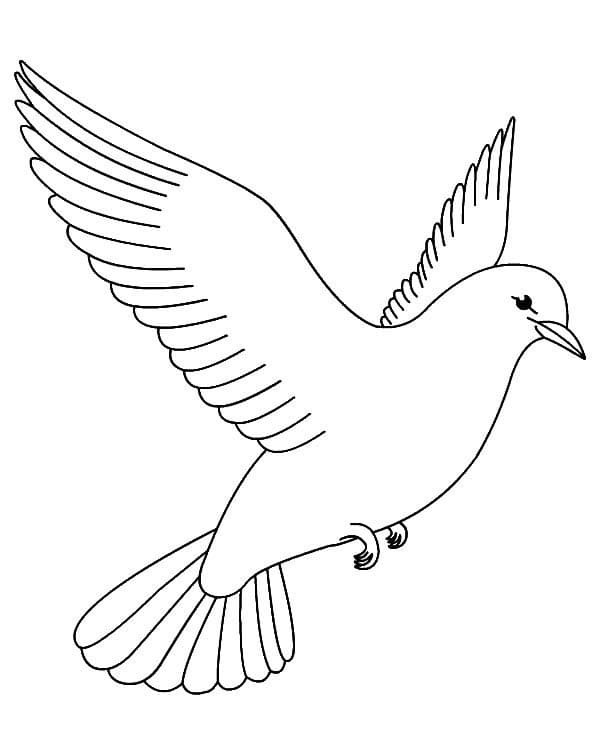 Zeichnen Tauben fliegend