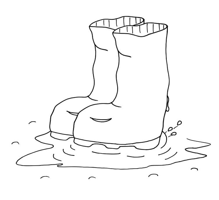 Bild Gummistiefel schlicht