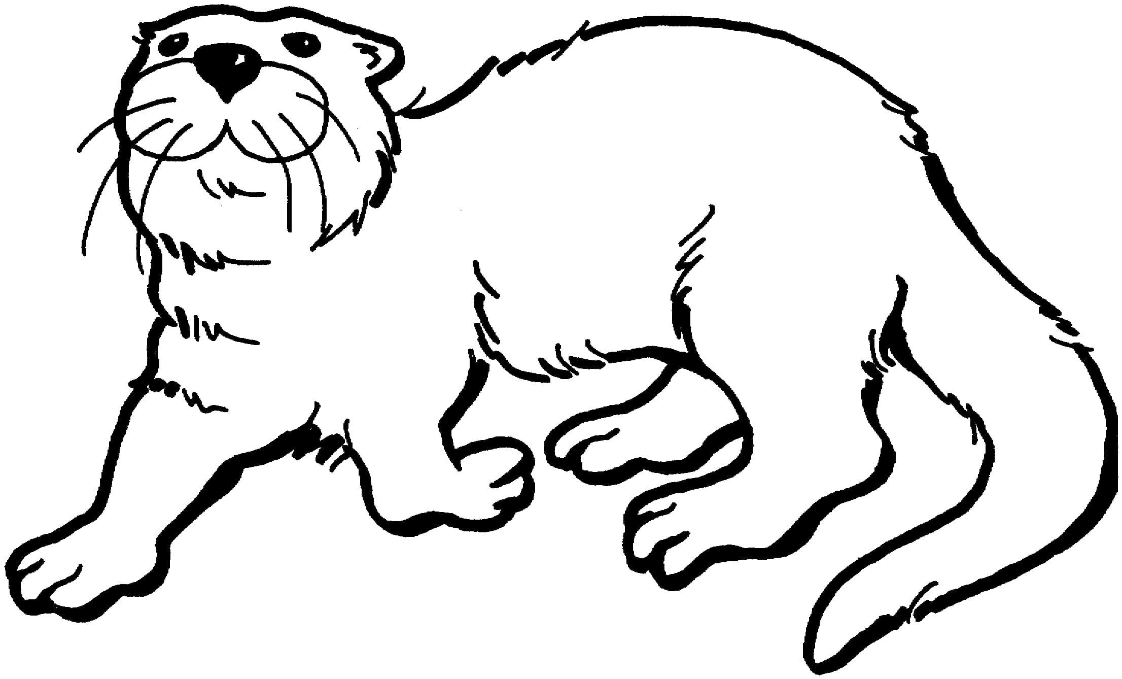 Kostenlos Otter