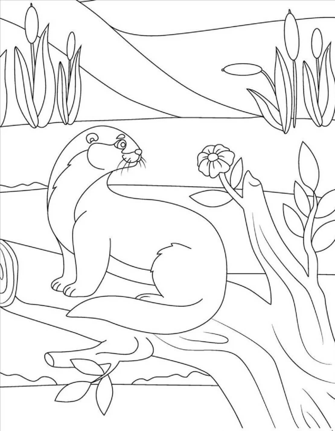 Otter Kostenlos einfach
