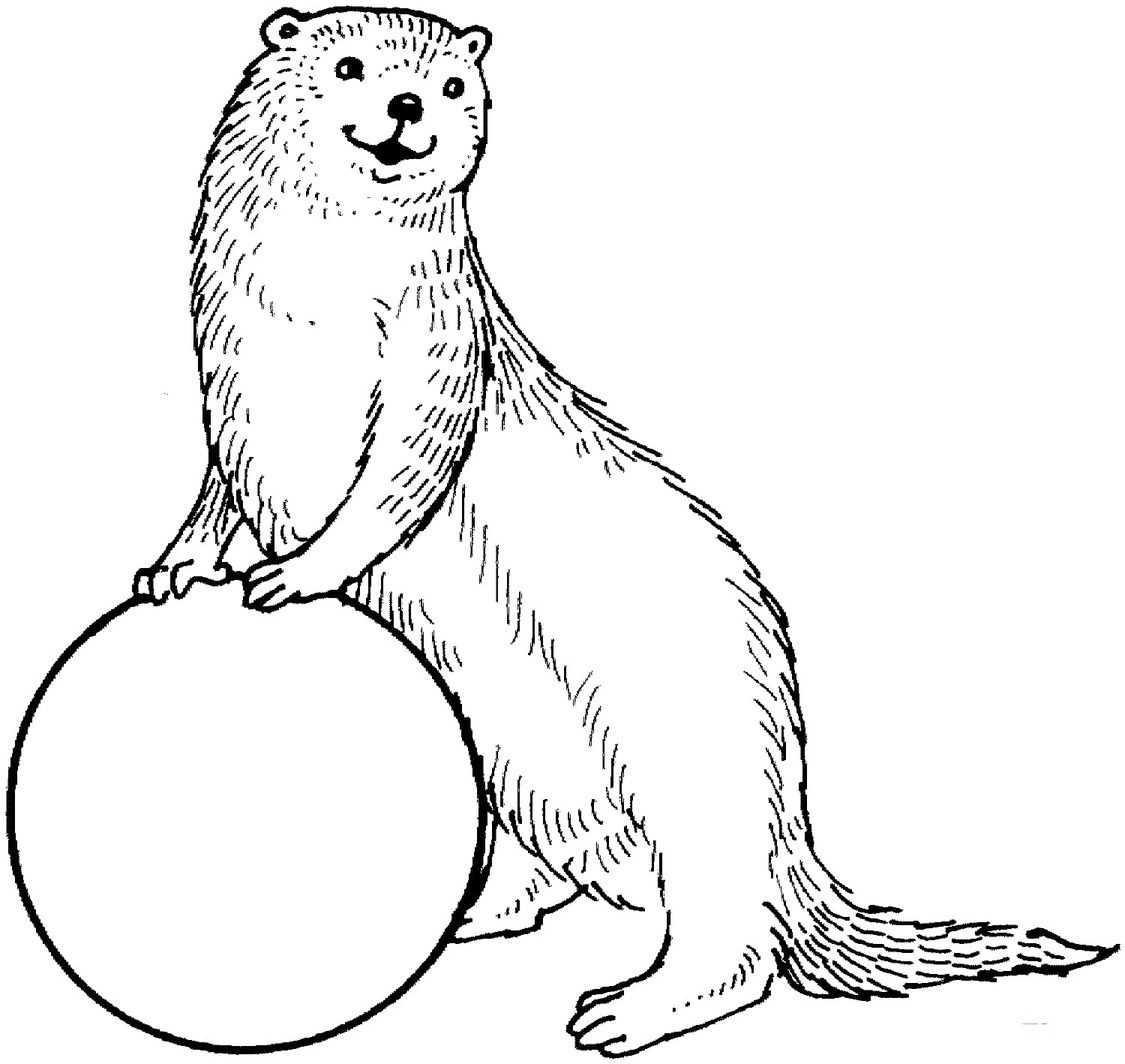 Otter kostenlos