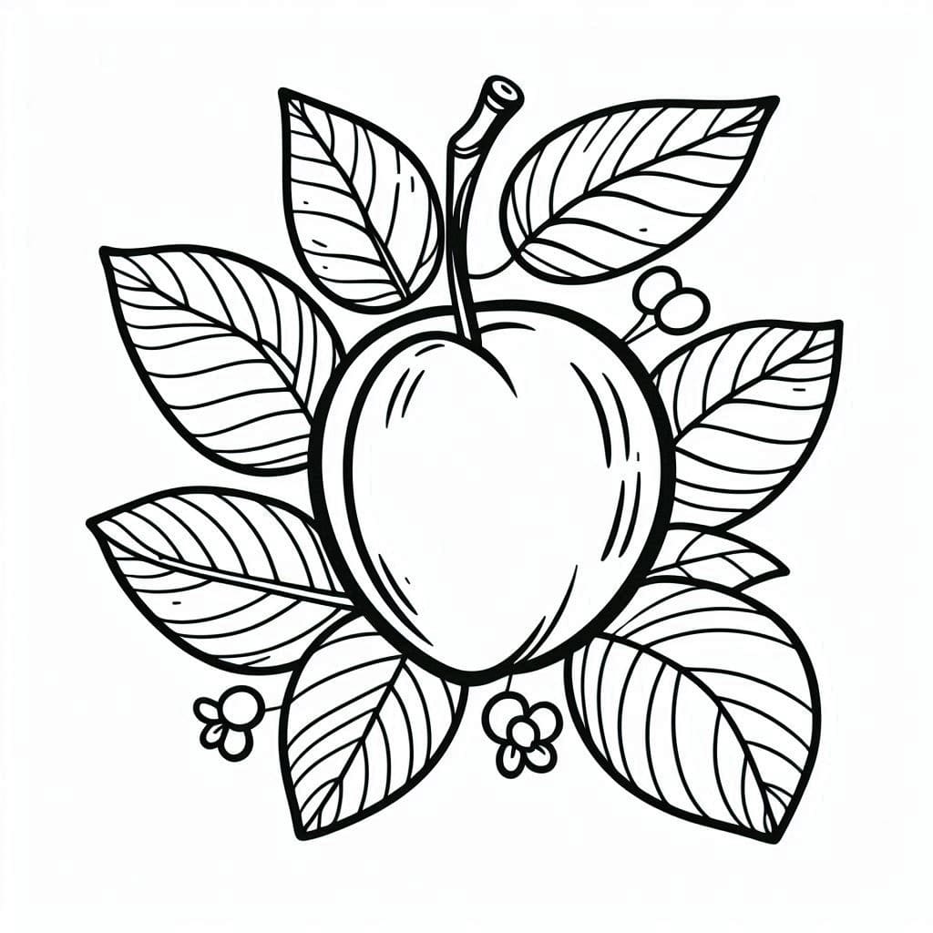 Pflaume 5