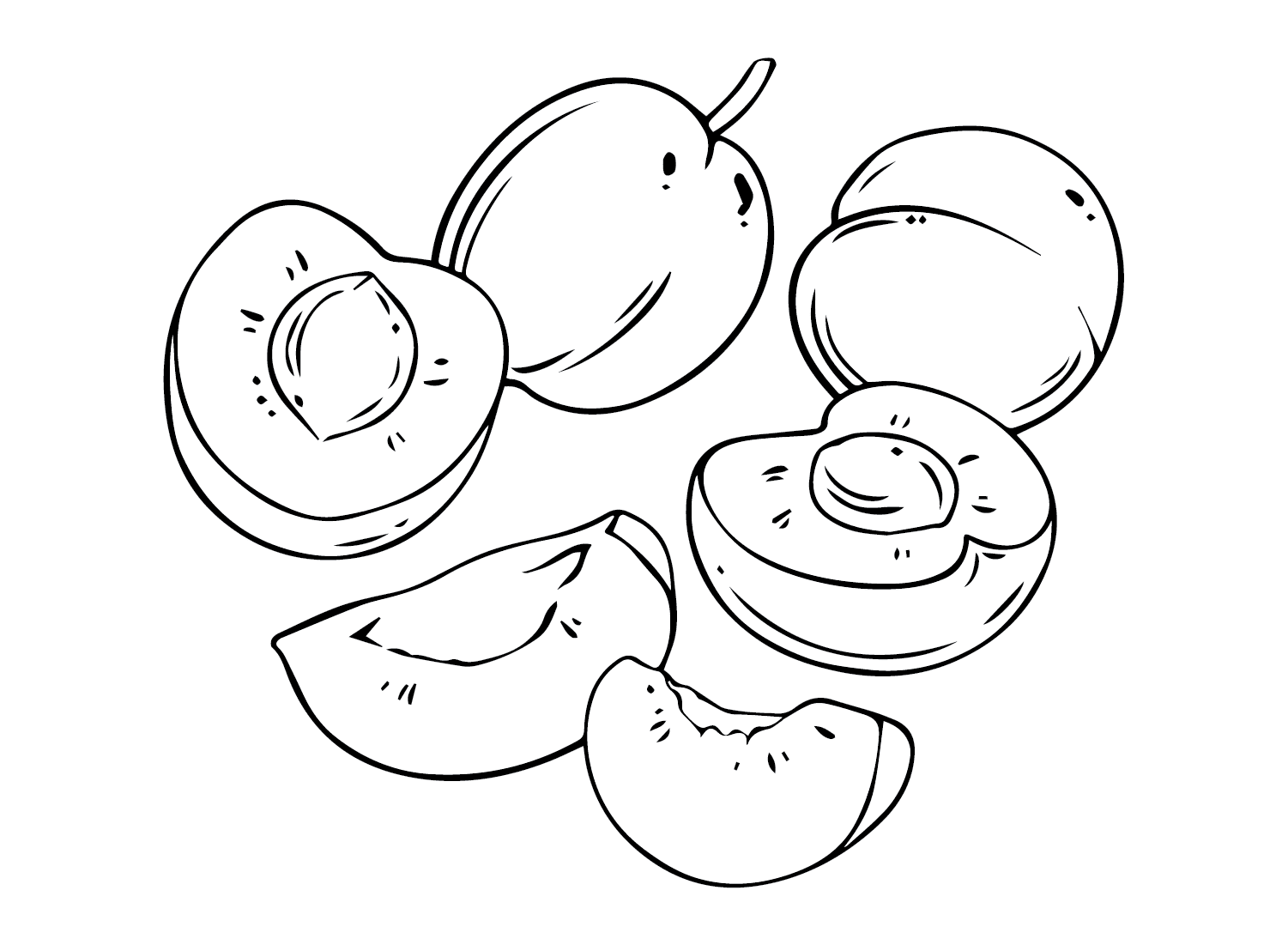 Pflaume 6