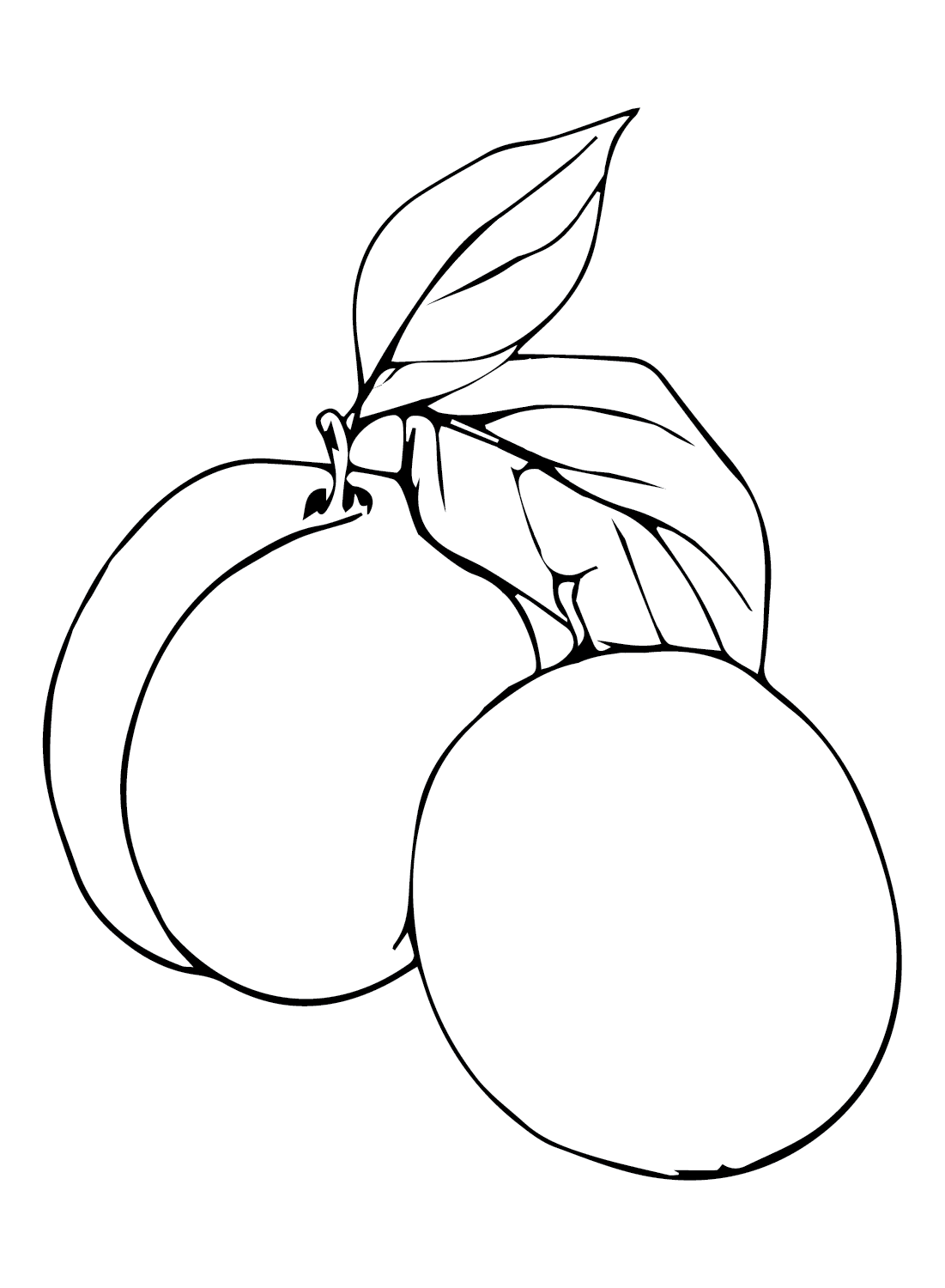 Pflaume kostenlos