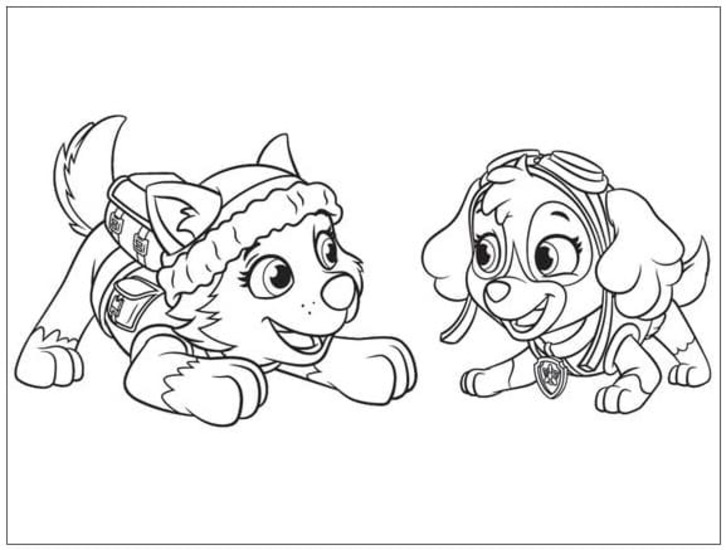 Skye Paw Patrol Einfach für Kinder