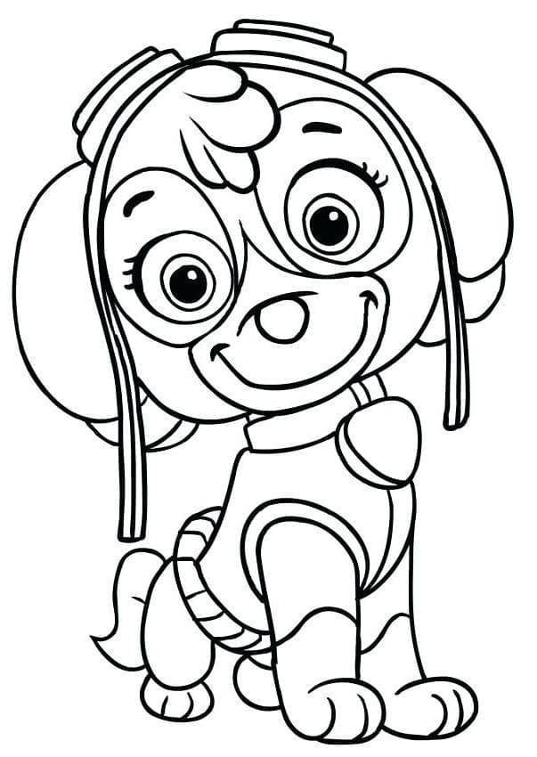 Skye Paw Patrol lächelnd