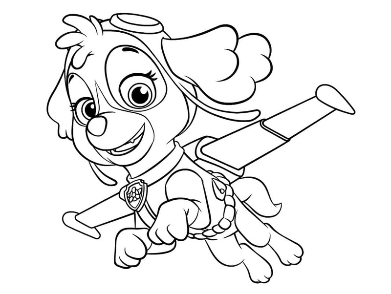 Skye Paw Patrol schlicht für Kinder