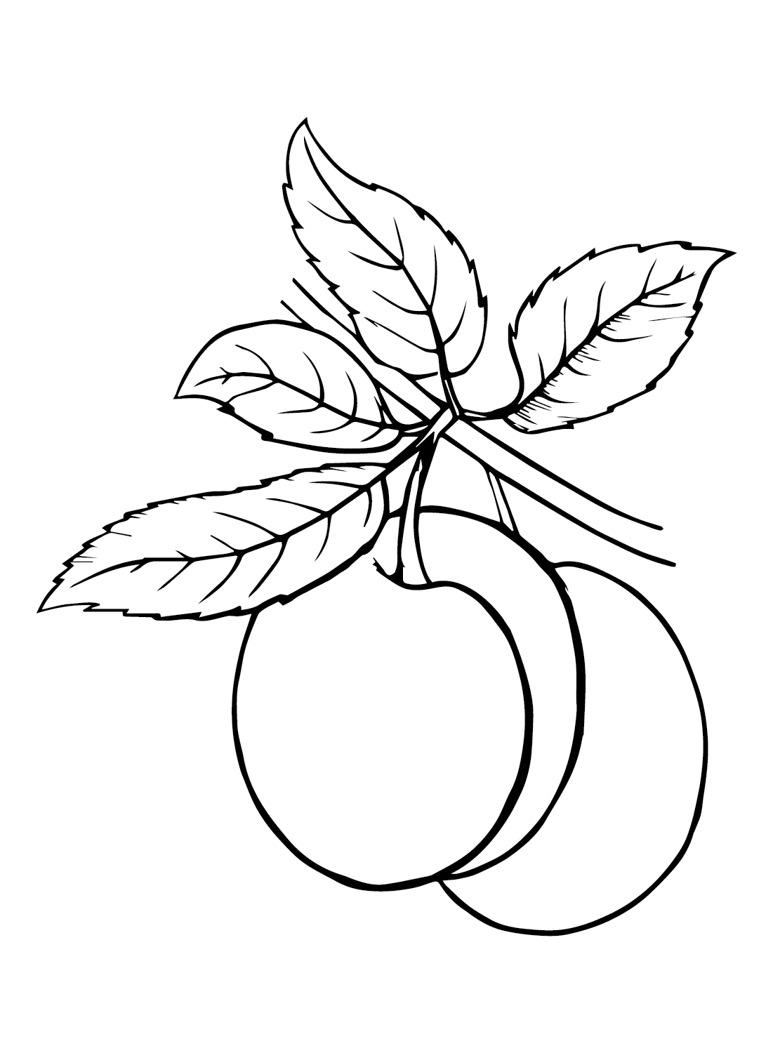 Pflaume