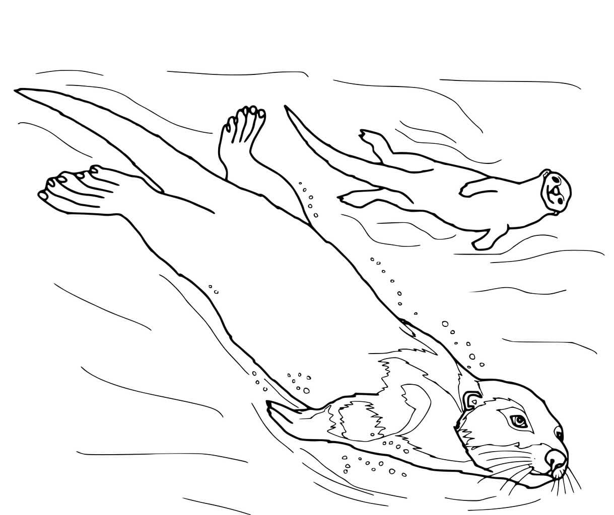 Zeichnen Otter basisch