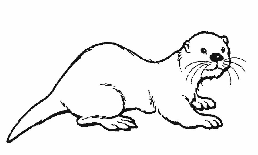 Zeichnen Otter druckbar