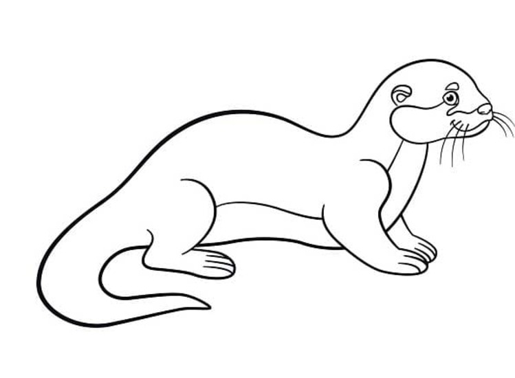 Zeichnen Otter für Kinder