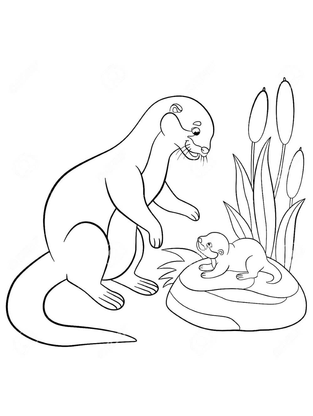 Zeichnen Otter schlicht