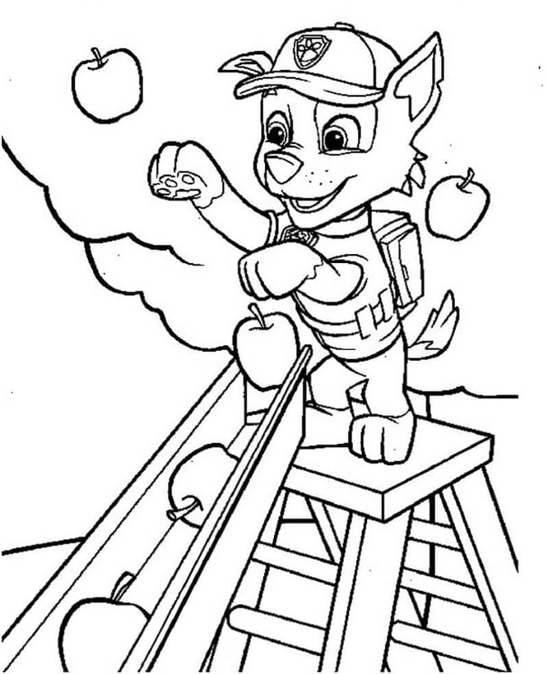 Zeichnen Rocky Paw Patrol für Kinder
