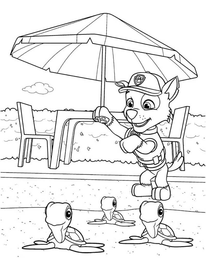 Zeichnen Rocky Paw Patrol sehr Niedlich
