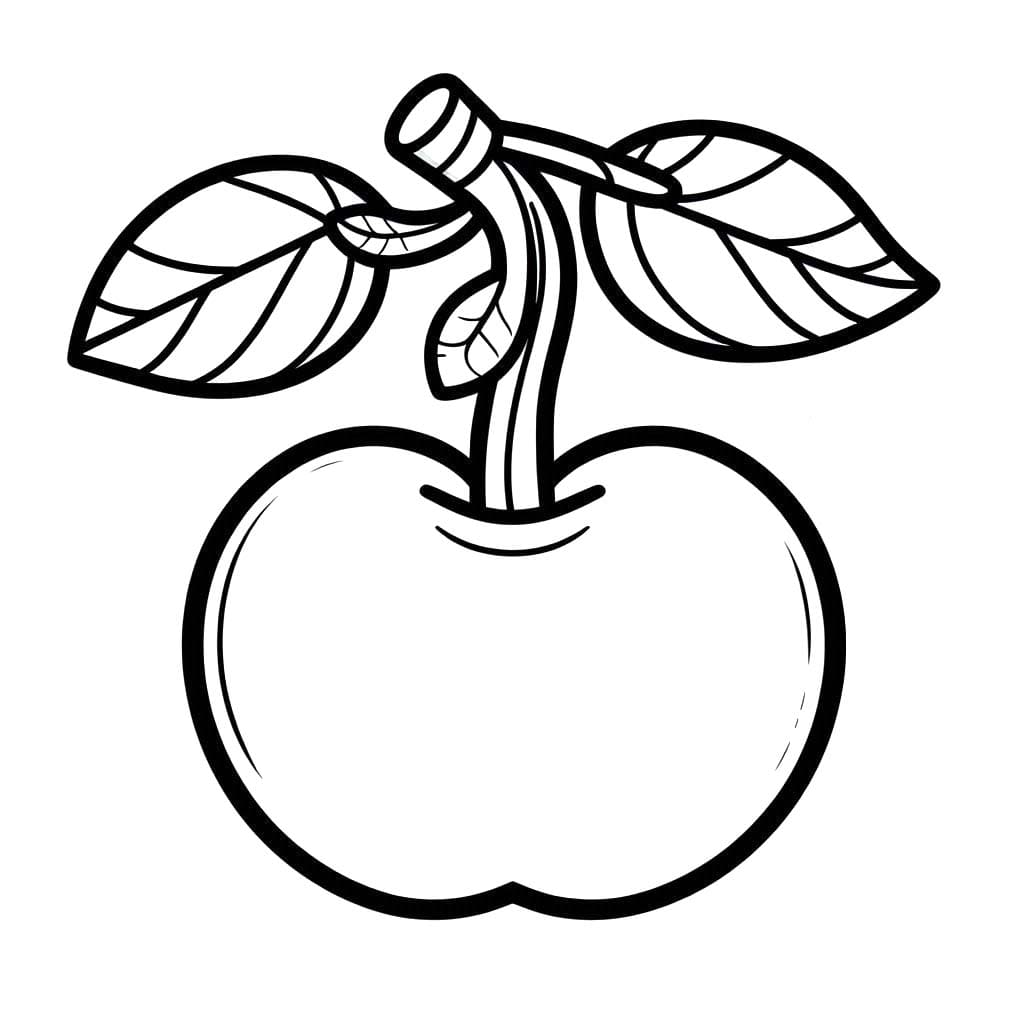 Kirsche 4