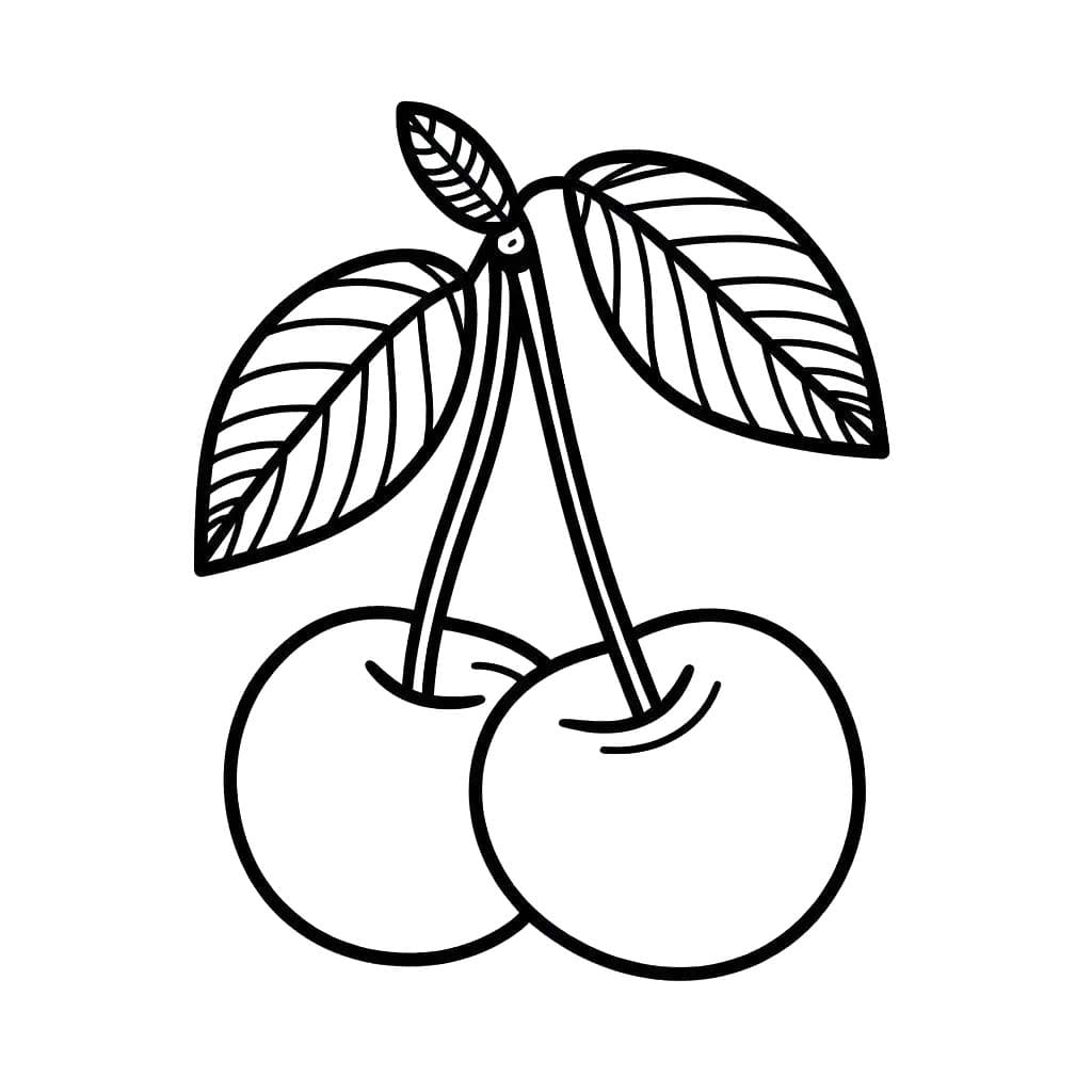 Kirsche 6