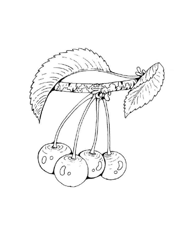 Kirsche druckbare einfach