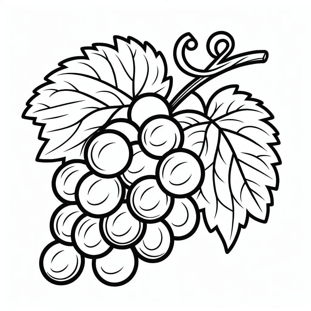 Trauben 3