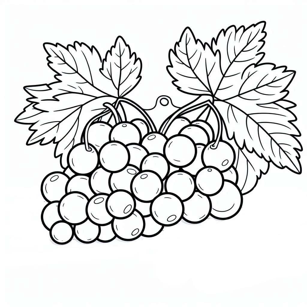Trauben 4