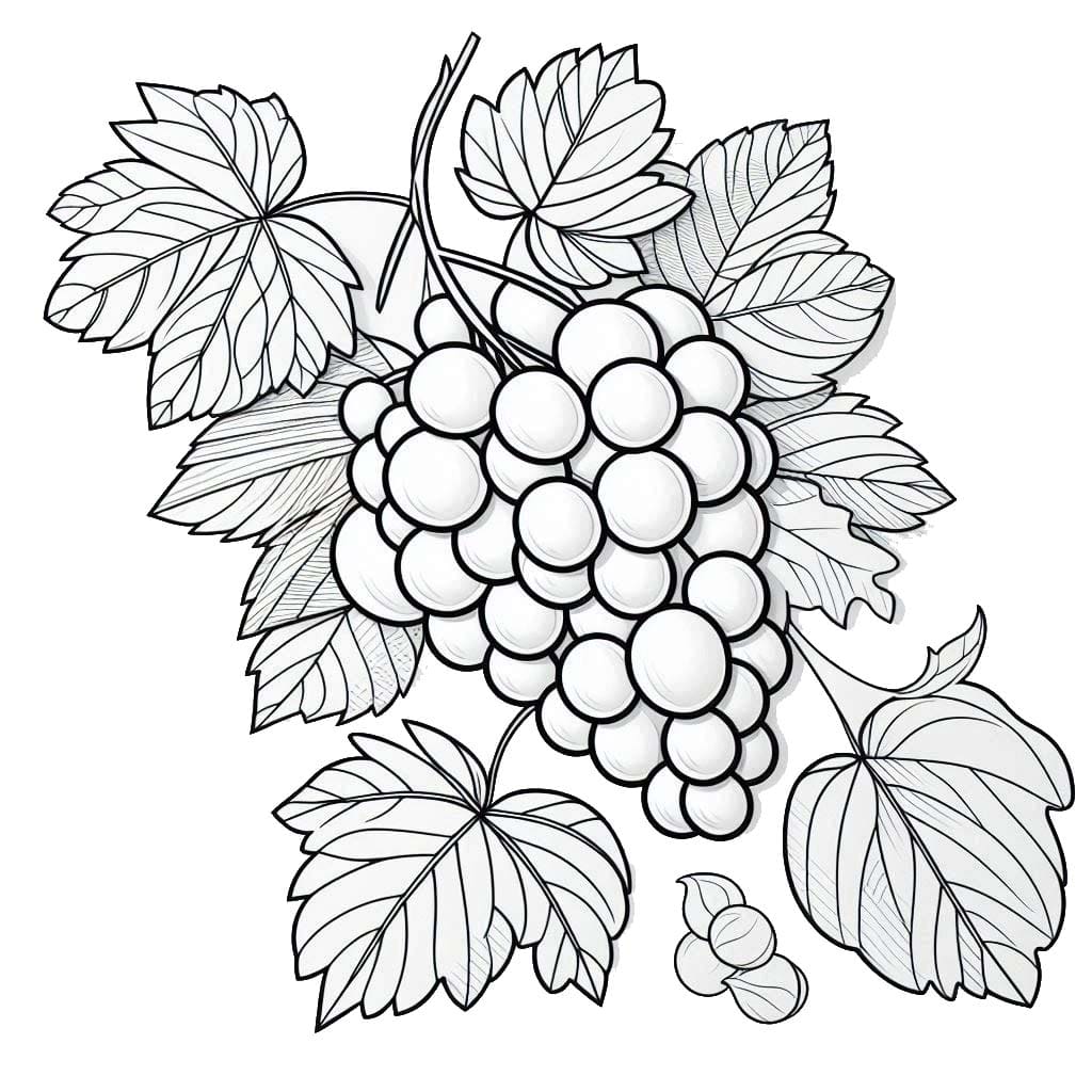 Trauben 5
