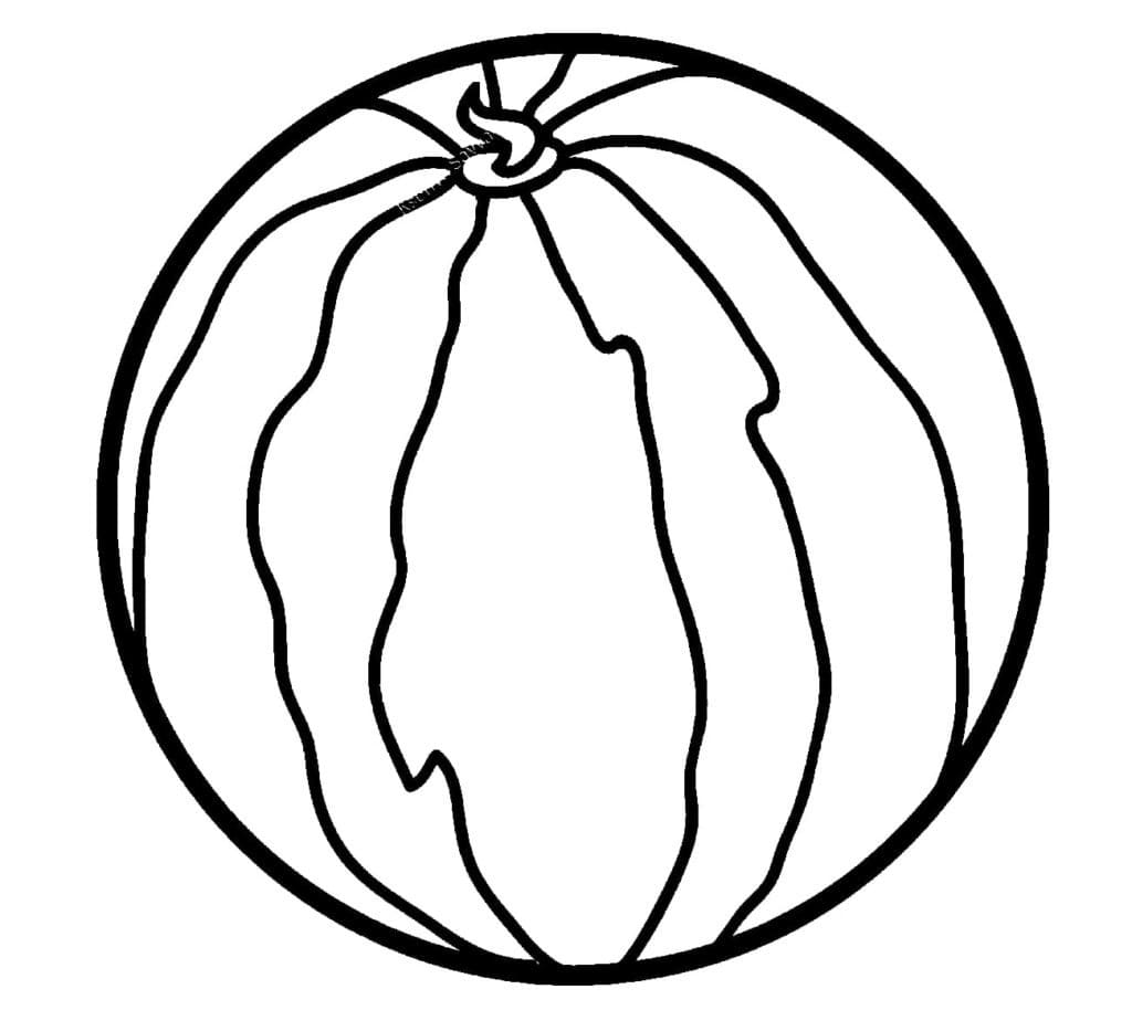 Wassermelone 3
