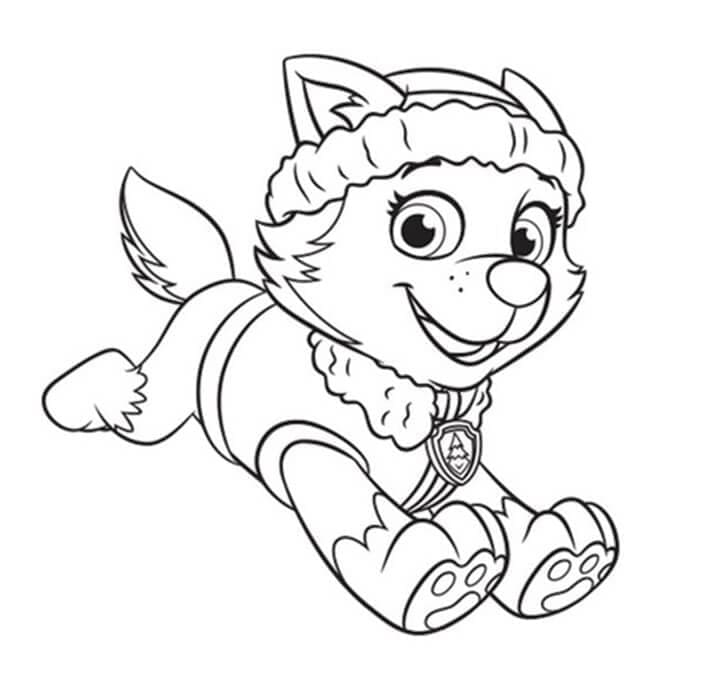 Zeichnen Everest Paw Patrol 9