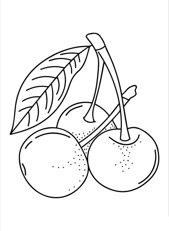 Zeichnen Kirsche Obst