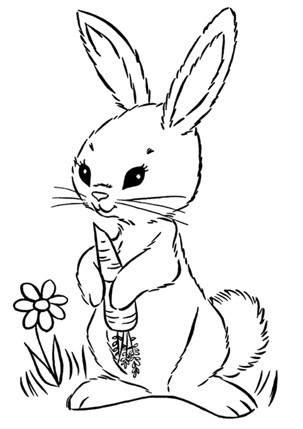 Rabbit With Carrot para colorir