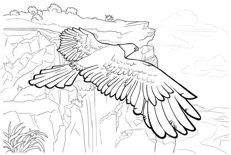 Dibujos de Águila con Hermoso Paisaje para colorear