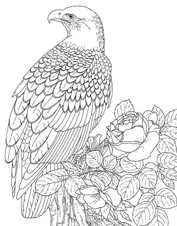 Dibujos de Águila con Rosa y Hojas para colorear