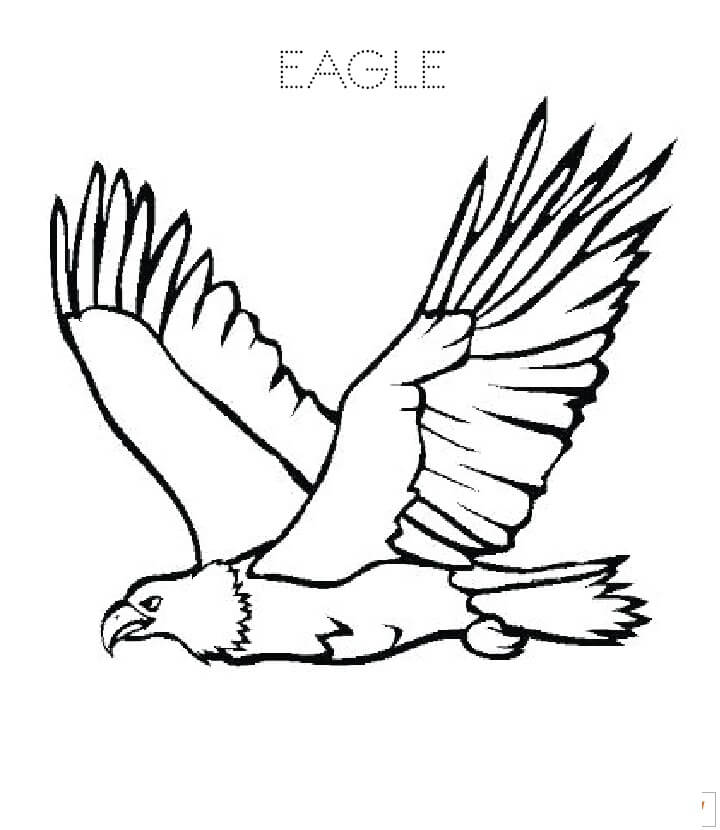 Águila Dibujo Básico para colorir