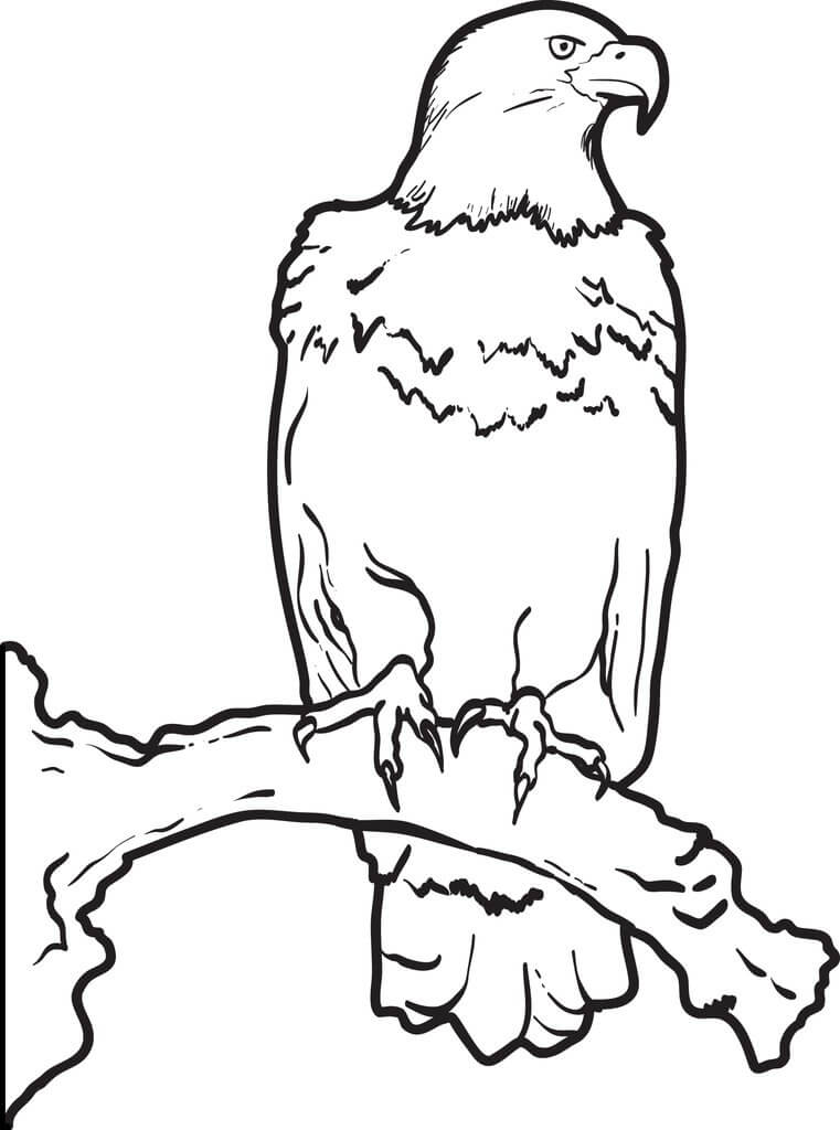 Dibujos de Águila Fresca de pie en la Rama de un Árbol para colorear