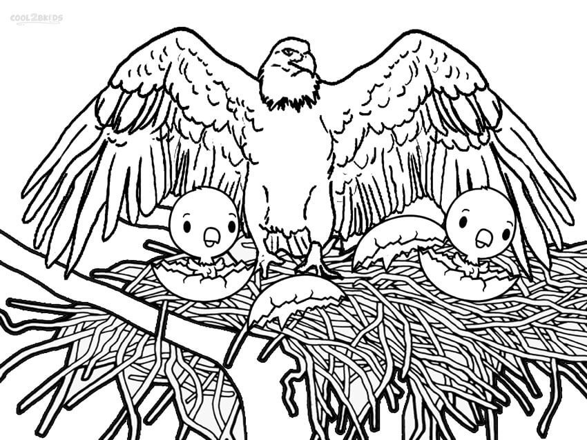 Dibujos de Águila Madre y dos Crías de Águila para colorear