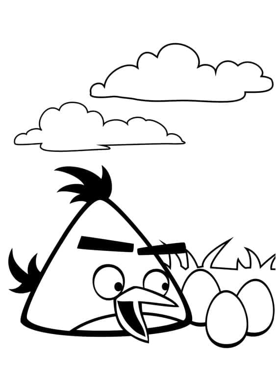 Dibujos de Angry Birds Chuck y huevo para colorear