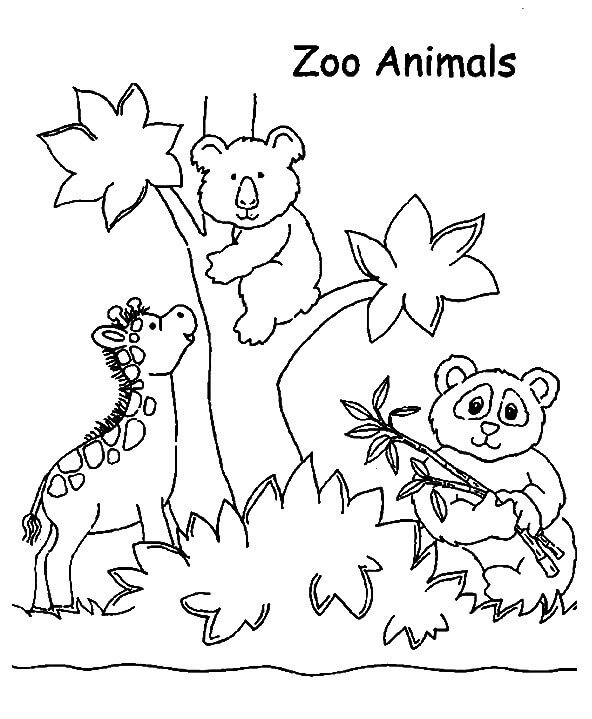 Dibujos de Animal normal en el Zoológico para colorear