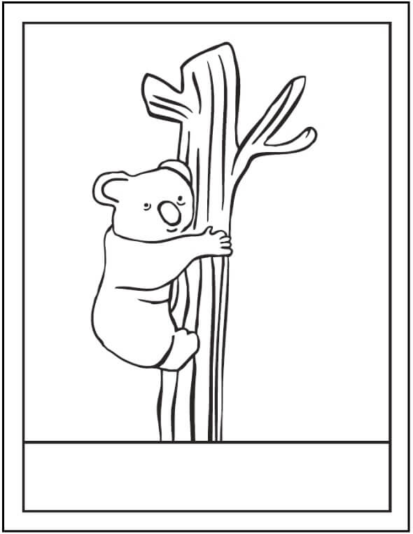 Dibujos de Árbol Trepador de Koalas para colorear