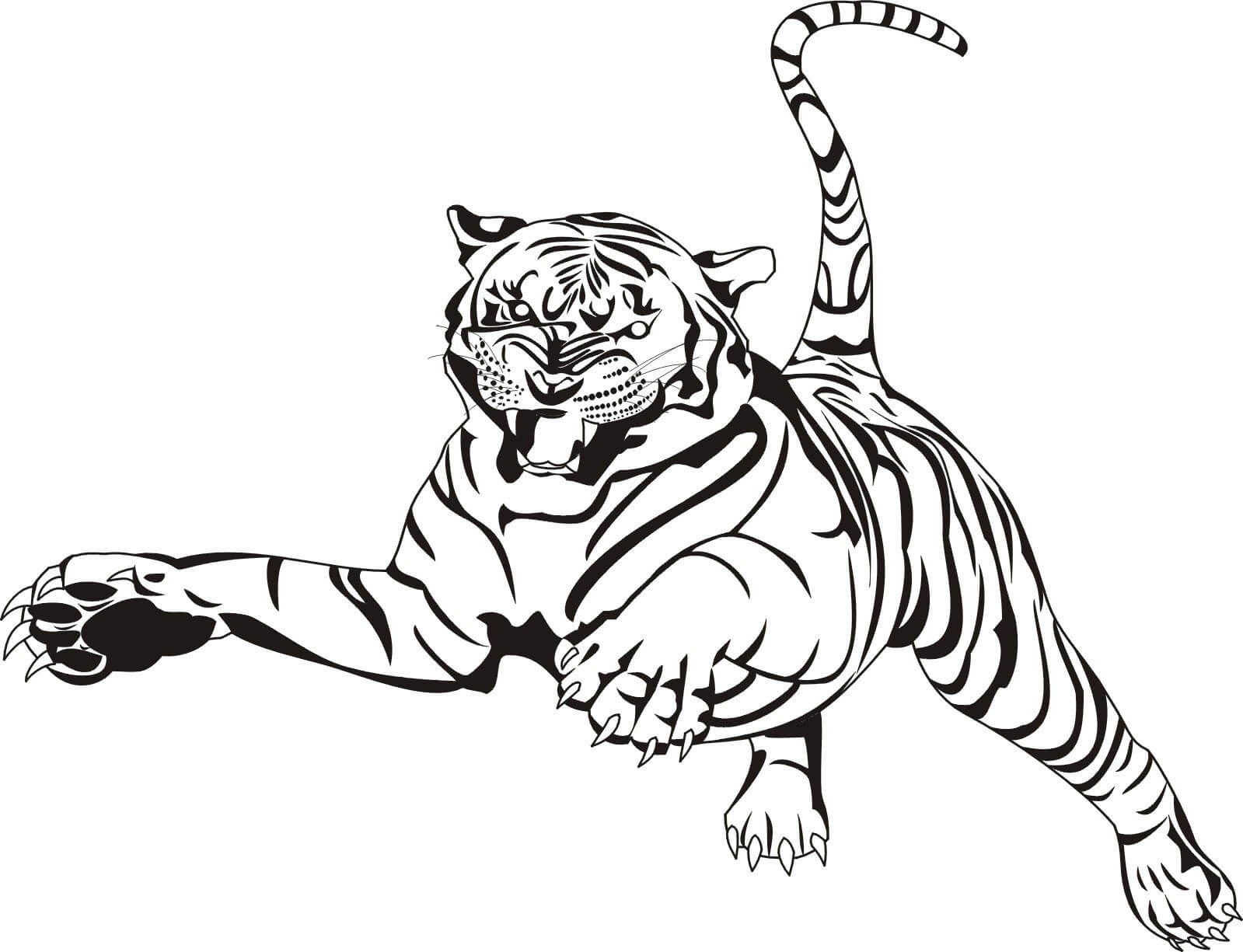 Ataque de Tigre para colorir