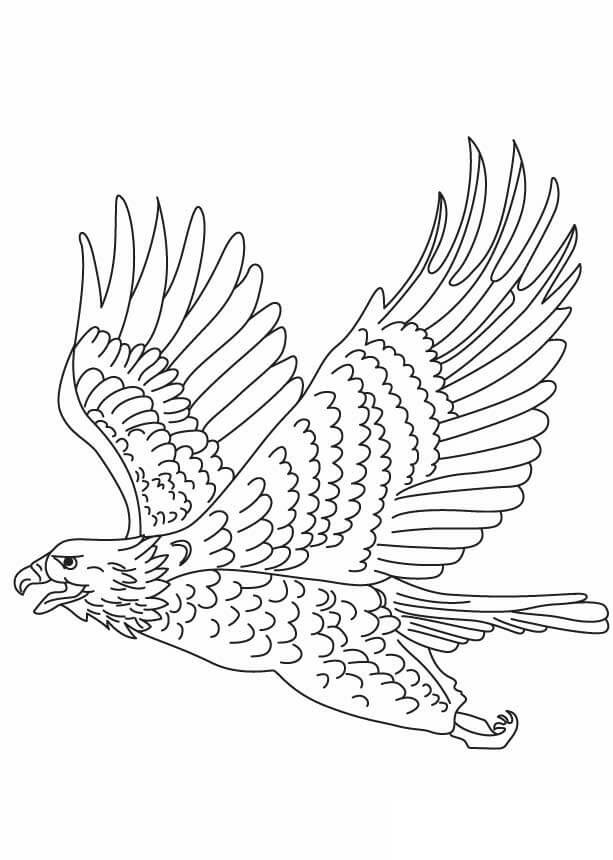 Dibujos de Bonito Águila Volando para colorear