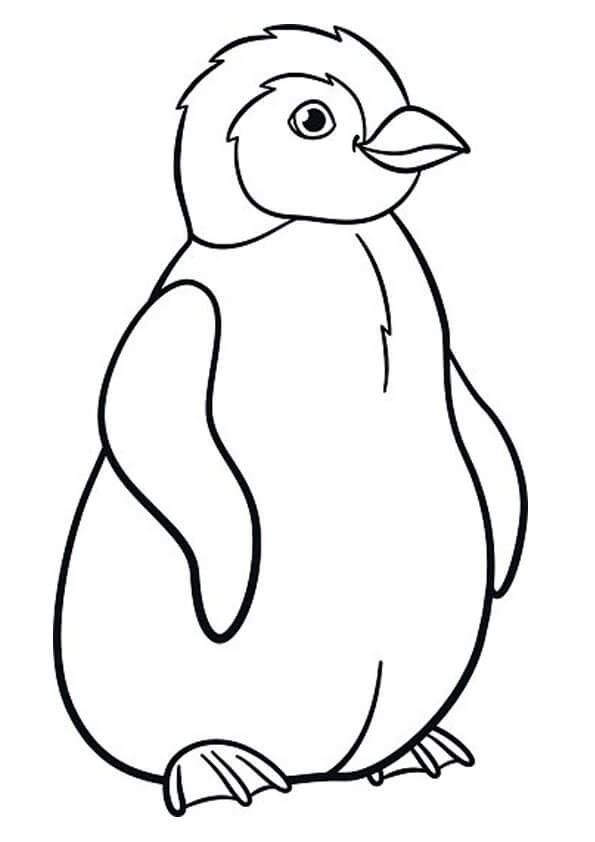 Dibujos de Bonito Pinguino para colorear