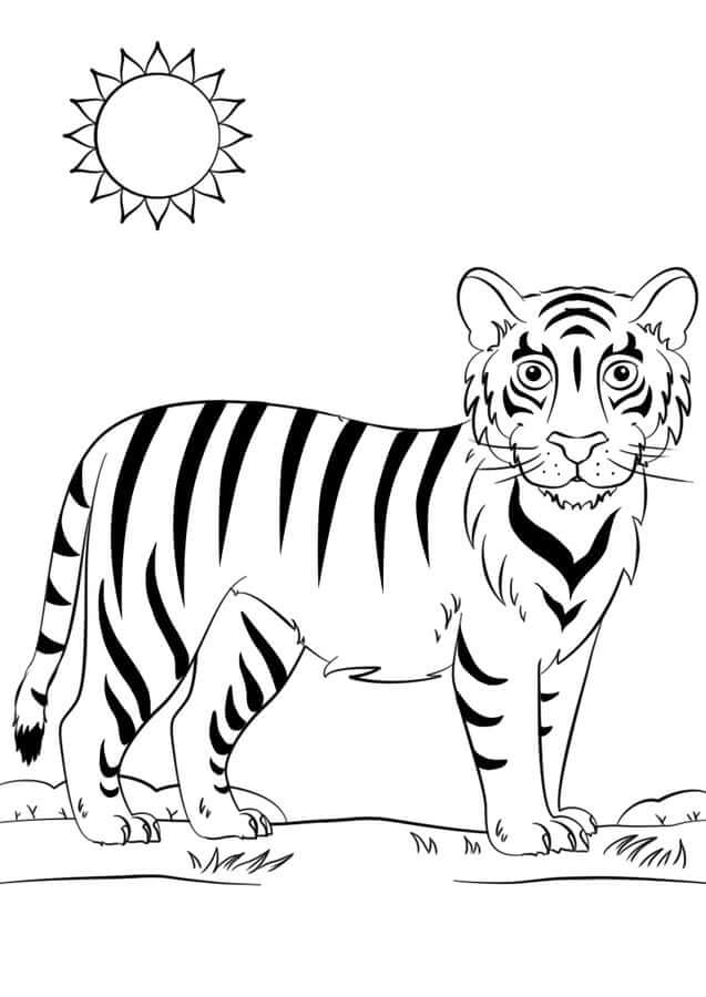 Dibujos de Bonito Tigre para colorear
