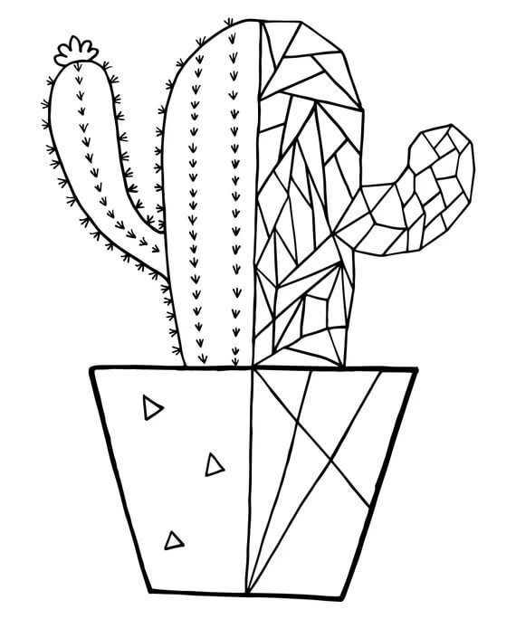 Bonitocactus para colorir