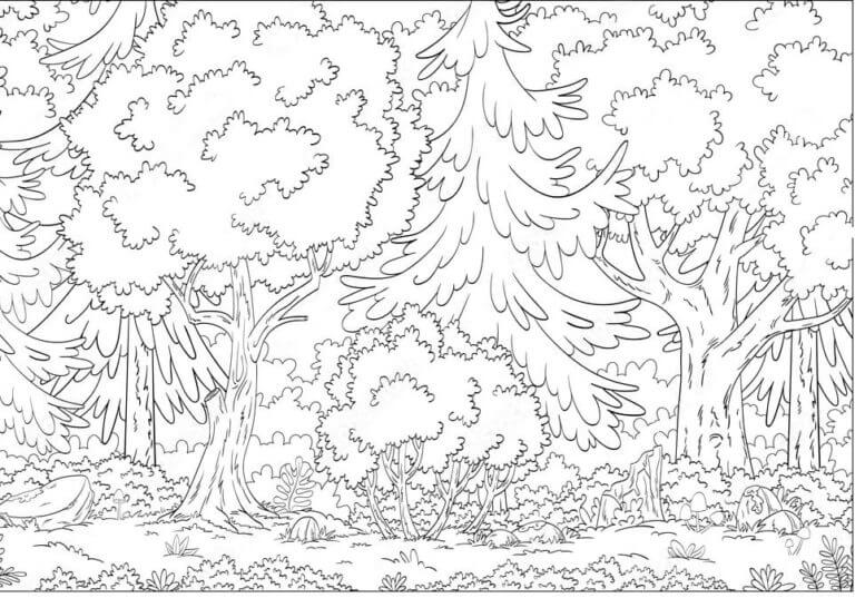 Dibujos de Bosque Compacto para colorear