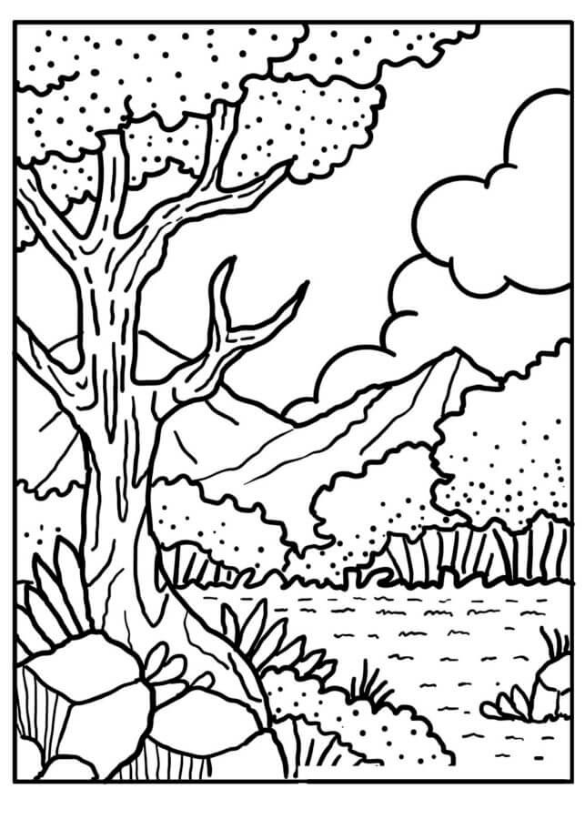 Bosque, montañas y nubes para colorir