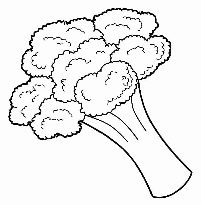 Dibujos de Brócoli para imprimir gratis para colorear