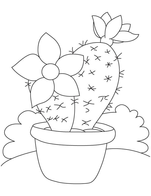 Dibujos de Buen Cactus en Maceta para colorear